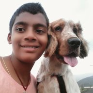 Aarya Medhekar