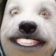 ellasaro