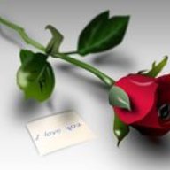 Kistent Tse
