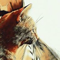 DayTripperCPT