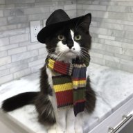 badwolf7