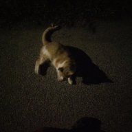 Notsurewhattoputhere