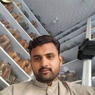 Raza ullah