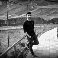 Sium