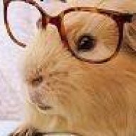 HamsterHam