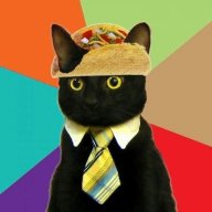 taco cat news