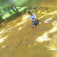 mno mn