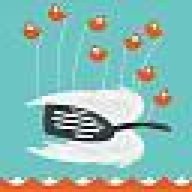 flyingspatula
