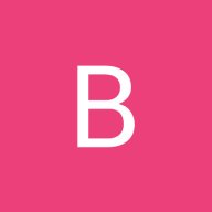 Bud P