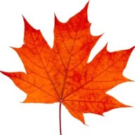 Mike Mapletest