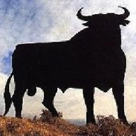 taurus bull