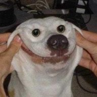 SaneiPlushie 1
