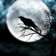 Raven Heart26