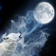 Alpha Wolf