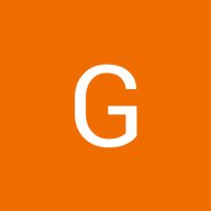 G 29
