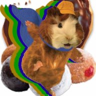 Diabetic GuineaPig