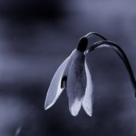 megan-1210