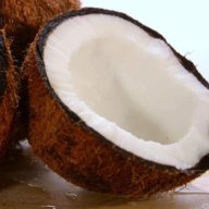 coconut boi