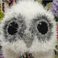 Fluffy White Owl