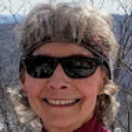 C Echlin