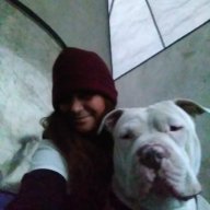 SaveOurPitBulls