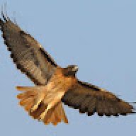 hawkswoopa