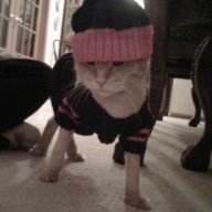 Jackson Galaxy