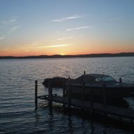 woody nh