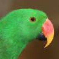 le_prof
