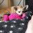 Browneyegirl2586