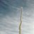 RocketmanJLC
