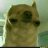 Muffiiins