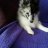 sandy_h