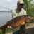 telfish