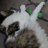 Eric_2703