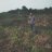 hassannahid99