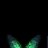 venkat_31